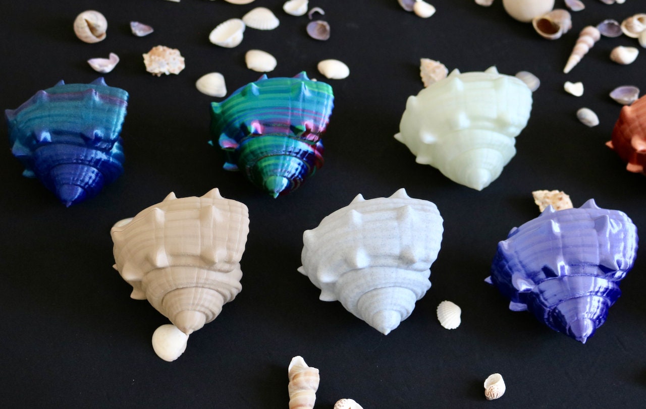 Articulated Hermit Crab Fidget Toy – 2 Sizes Available - Loads of Color Options